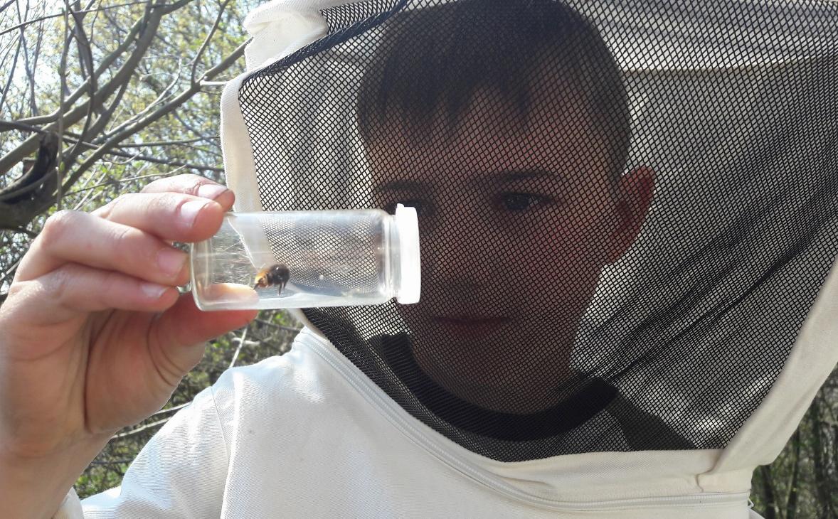 Bienencamp