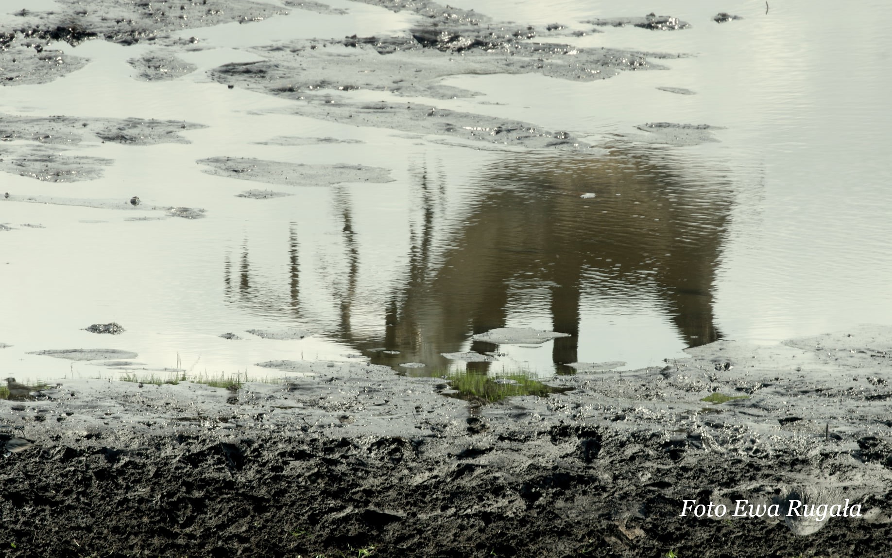 Lehrgang Trailing Polen