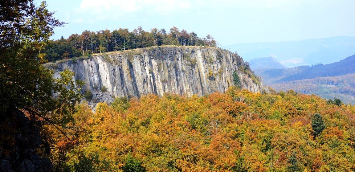 DSC00399 Medium beschnitte